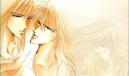 风与木之诗动漫,探寻自然与生命的和谐交响